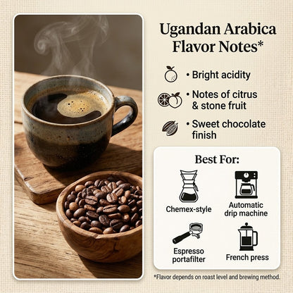 Sanaa Traders Premium Ugandan Green Coffee Beans | Unroasted African Coffee